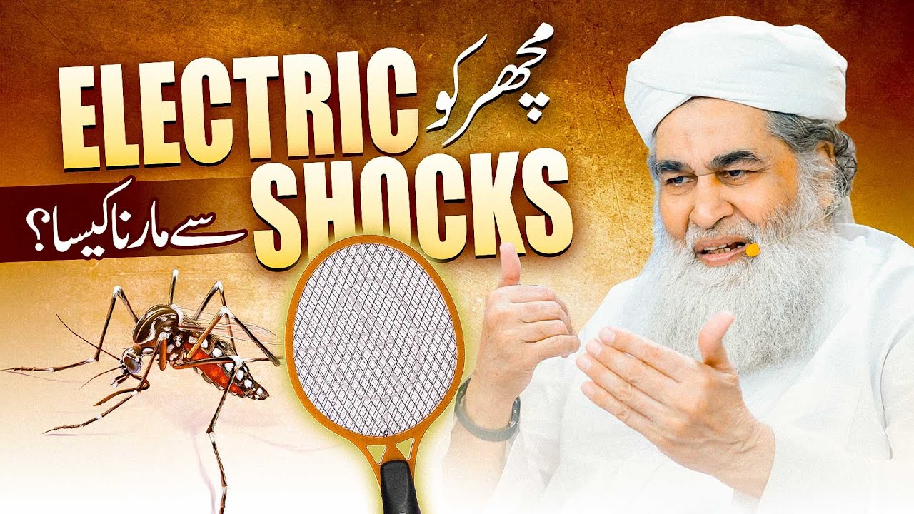 Machar Ko Electric Shock Se Marna Kaisa? | Electric Bat Se Machar Ko Marne Ka Hukum